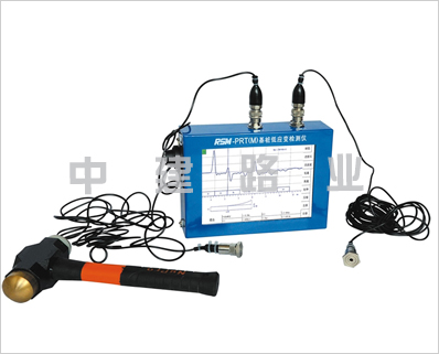 RSM-PRT(M)型双通道低应变检测仪